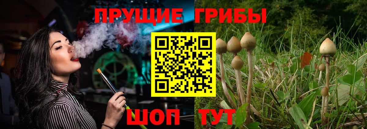 Галлюциногенные грибы Magic Shrooms  Галлюциногенные грибы Cubensis  Рассказово  Вход с VPN 